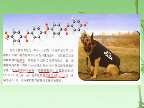 第十四章 羧酸衍生物(共115张PPT)