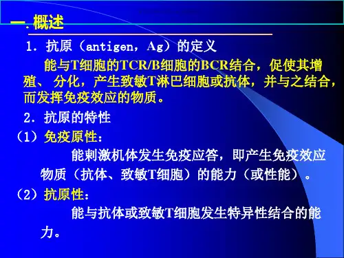 抗原 医学知识