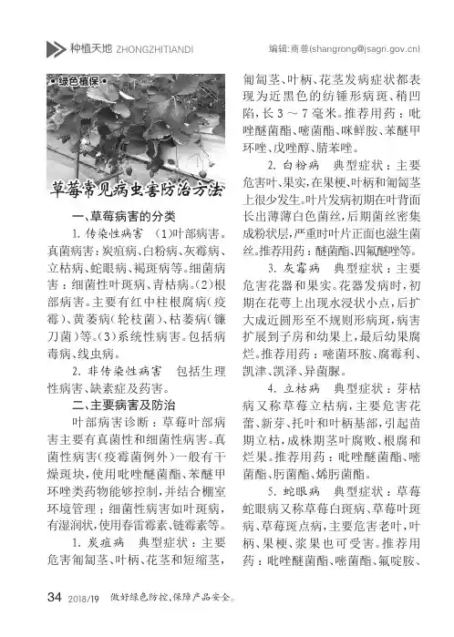 草莓常见病虫害防治方法