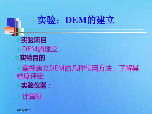实验DEM的建立