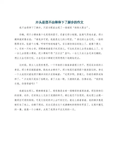 开头是我不由得停下了脚步的作文