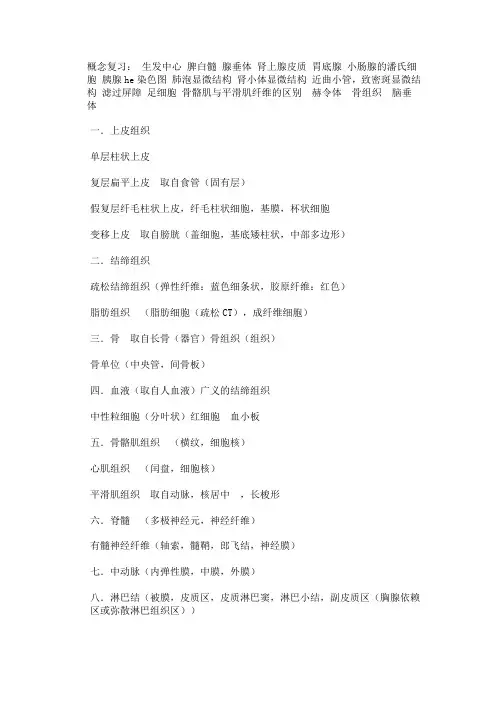 2013年组胚复习纲要