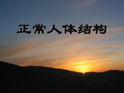 正常人体结构全 套PPT课件