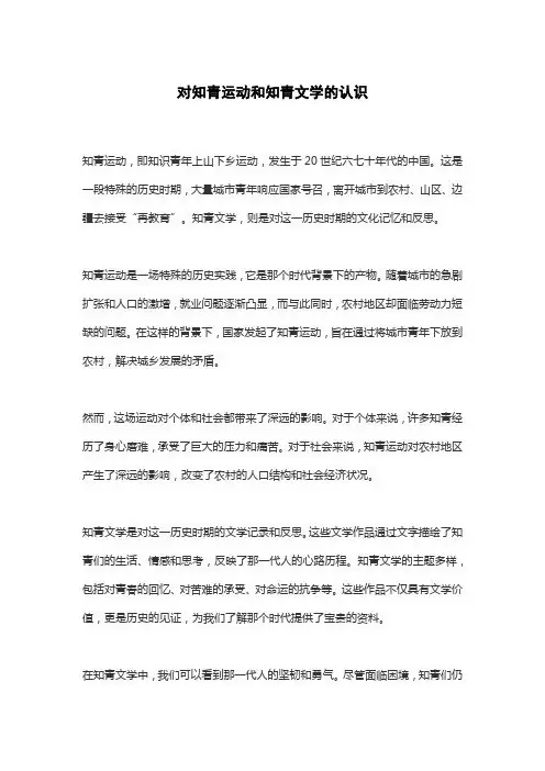 对知青运动和知青文学的认识
