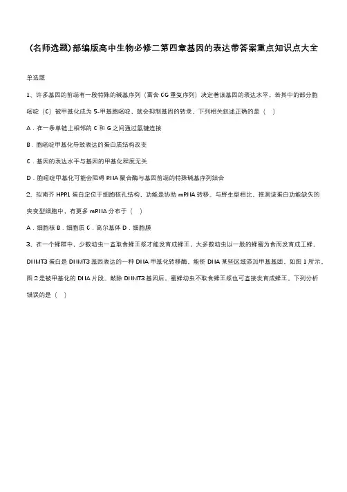 部编版高中生物必修二第四章基因的表达带答案重点知识点大全