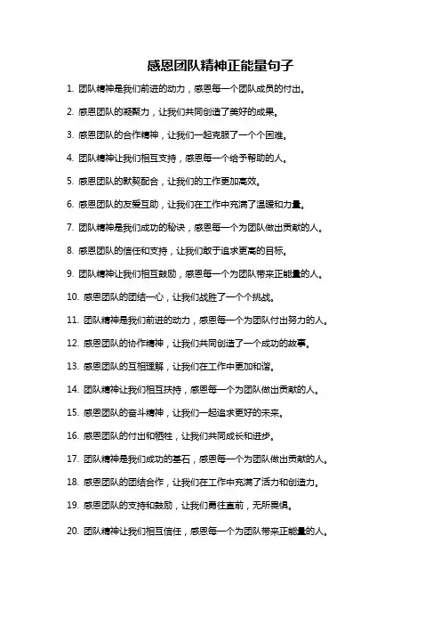 感恩团队精神正能量句子