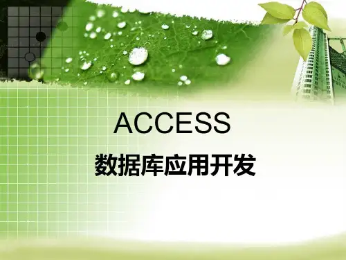 ACCESS2003简介