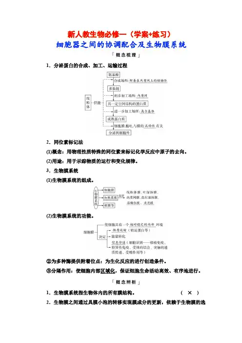 新人教生物必修一(学案+练习)细胞器之间的协调配合及生物膜系统