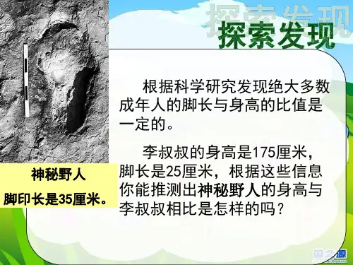 用正比例解决问题(1)
