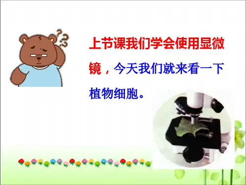 人教版七年级生物 上册 第二单元 第一章 第二节 植物细胞 课件