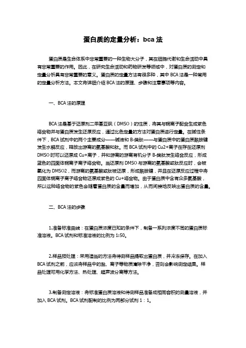 蛋白质的定量分析：bca法