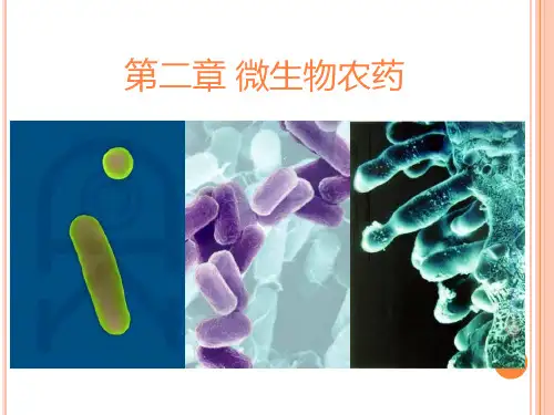第二章微生物农药—细菌ppt课件