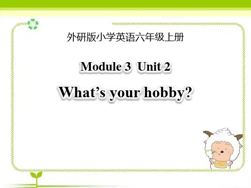 外研版六年级英语上册 (What's your hobby)教学课件