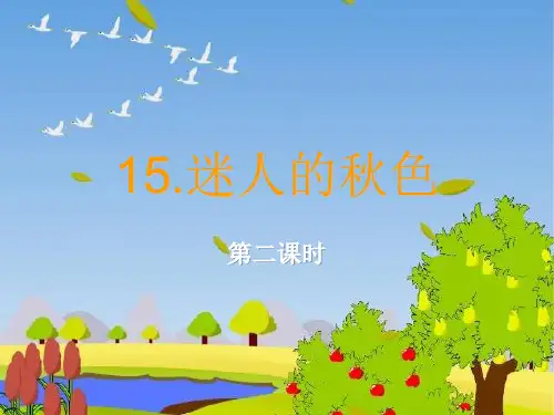 迷人的秋色