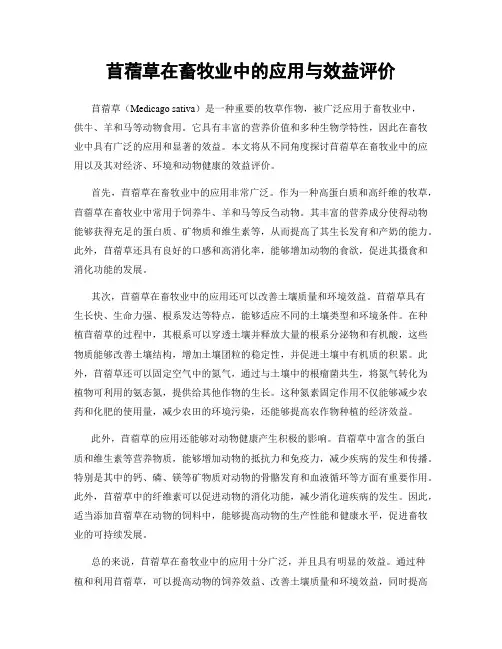 苜蓿草在畜牧业中的应用与效益评价