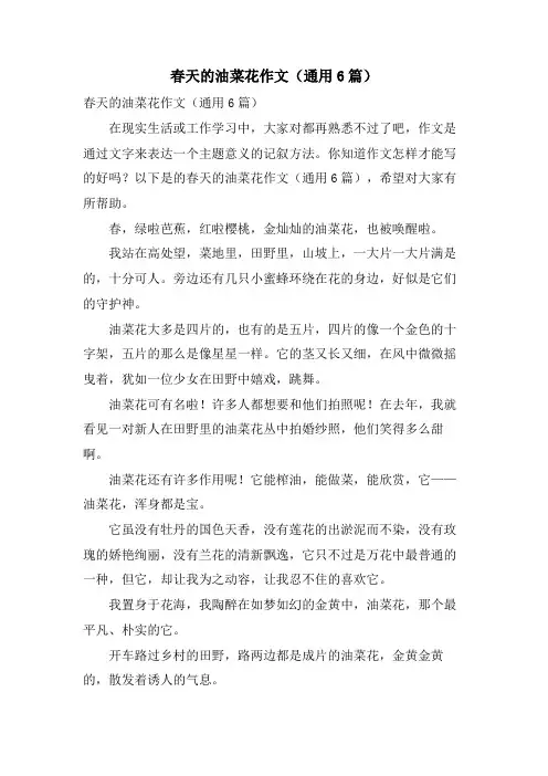 春天的油菜花作文(通用6篇)