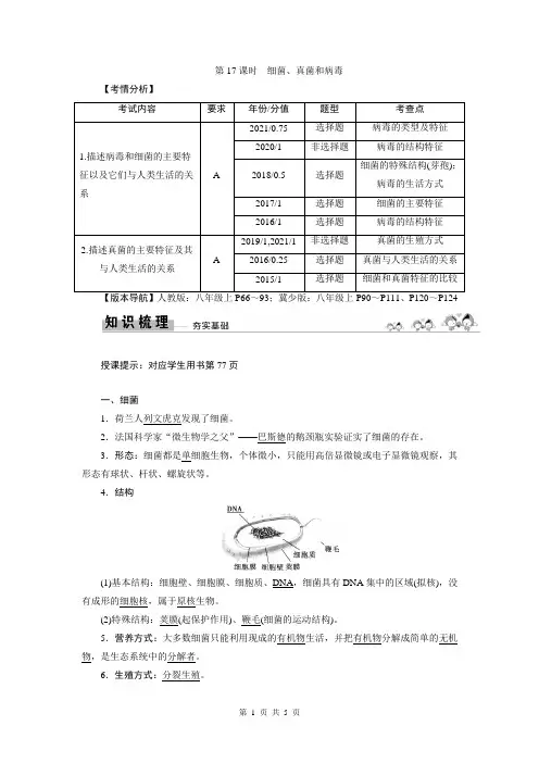 2023年中考生物总复习学案：细菌、真菌和病毒