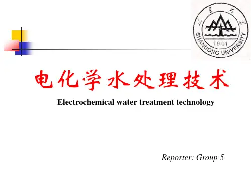 电化学水处理技术