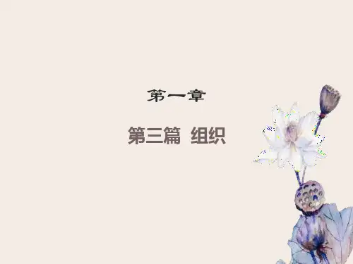 管理学课件第六章-组织