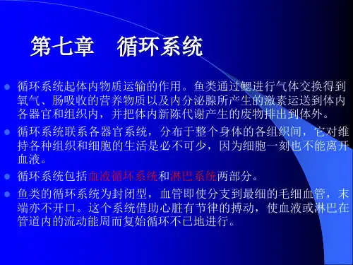 (形态学)鱼类学第七章