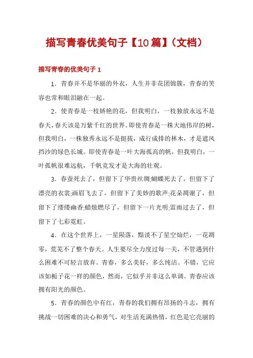 描写青春优美句子【10篇】