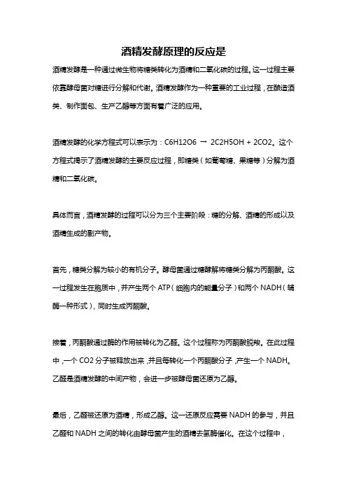 酒精发酵原理的反应是