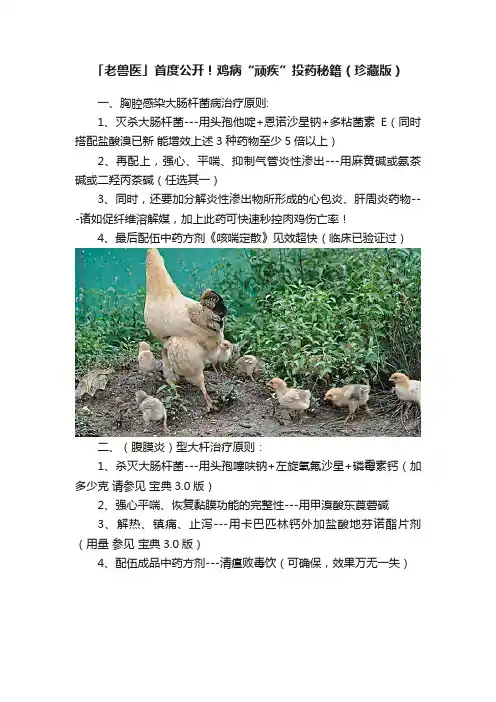 「老兽医」首度公开！鸡病“顽疾”投药秘籍（珍藏版）