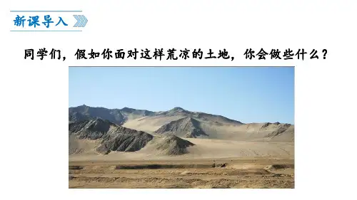 《植树的牧羊人》ppt课件