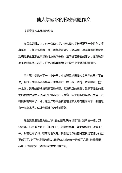 仙人掌储水的秘密实验作文