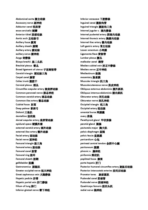 重点英文词汇总结