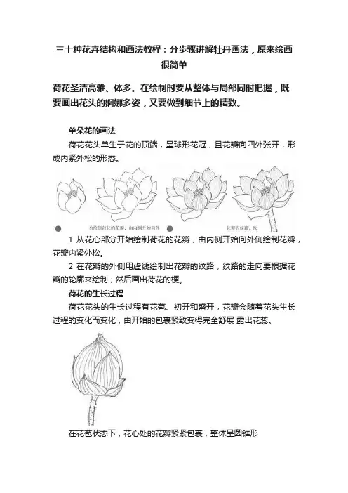 三十种花卉结构和画法教程：分步骤讲解牡丹画法，原来绘画很简单