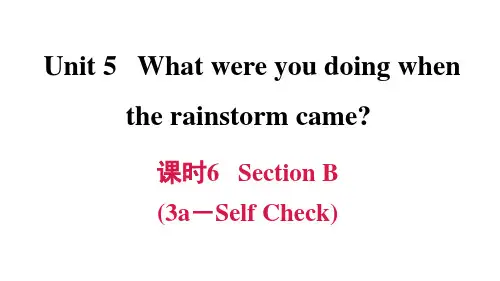 人教版PEP八年级英语下册第五单元习题课件课时6 Section B (3a-Self Check)