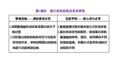 2022-2023学年 人教版   必修一 蛋白质的结构及其多样性 课件 (46张)