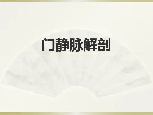 门静脉解剖