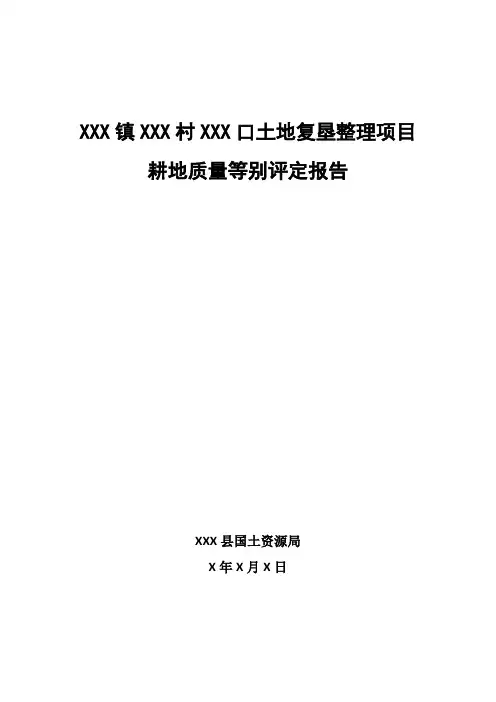 土地整理复垦项目等别评定报告