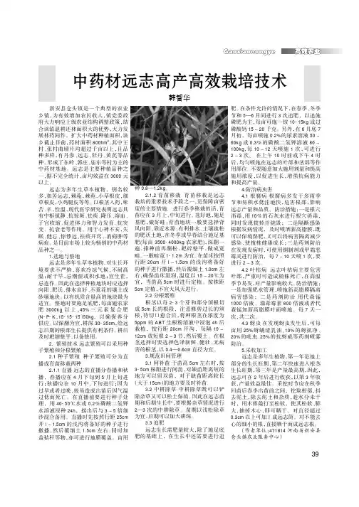 中药材远志高产高效栽培技术