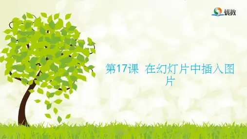 小学四年级-信息技术课件《在幻灯片中插入图片》