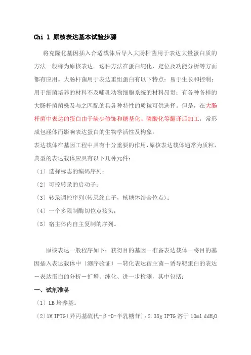 原核表达步骤