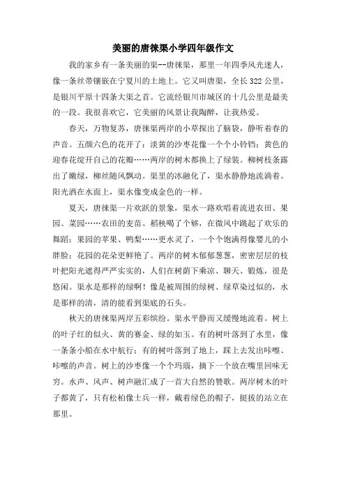 美丽的唐徕渠小学四年级作文