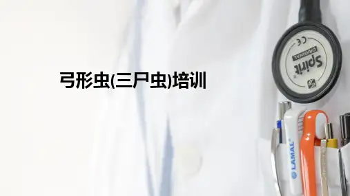 弓形虫(三尸虫)培训ppt课件