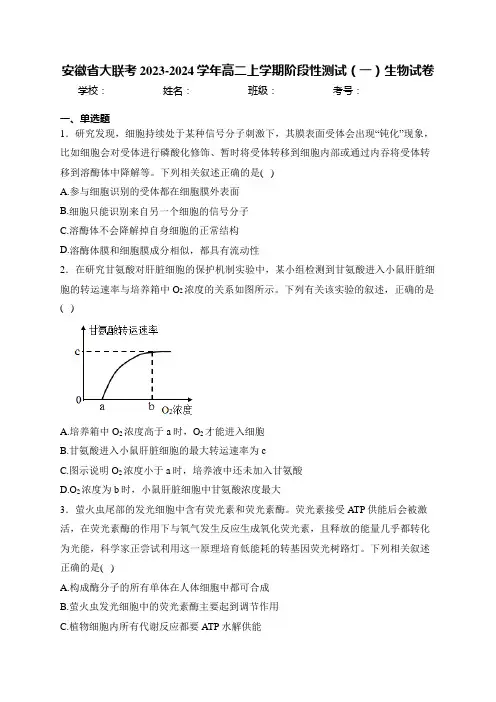 安徽省大联考2023-2024学年高二上学期阶段性测试(一)生物试卷(含答案)