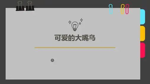 5岁-6岁 线描手工 《可爱的大嘴鸟》-美术课件