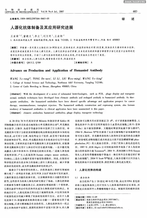 人源化抗体制备及其应用研究进展