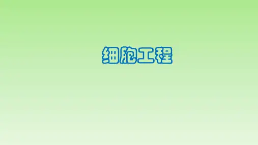 【课件】2023届高三一轮复习生物：+细胞工程课件