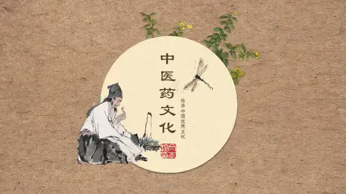 中医药文化  ppt课件