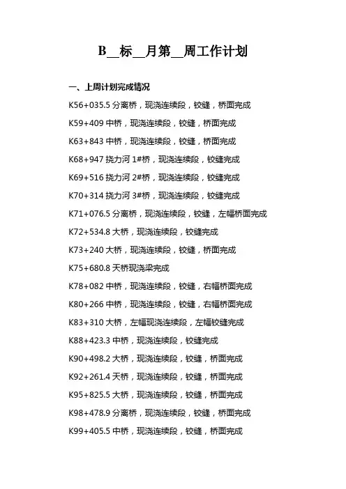 桥梁周报模板