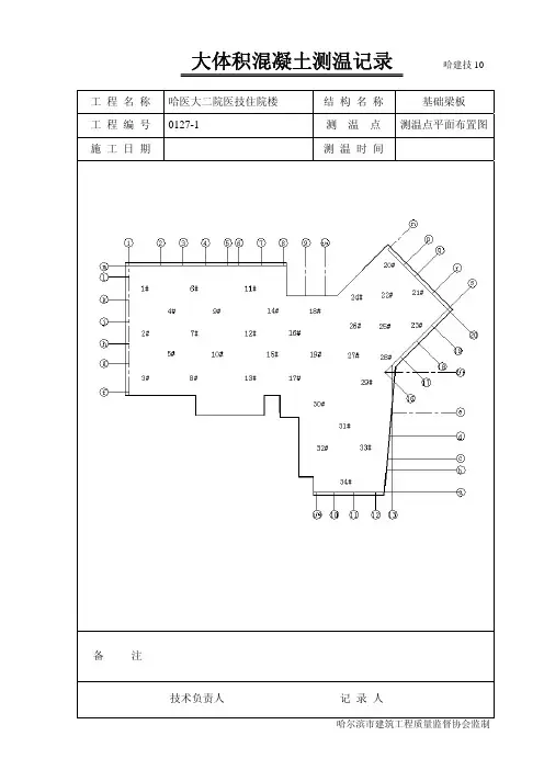 大体积混凝土测温记录表格（有范例）