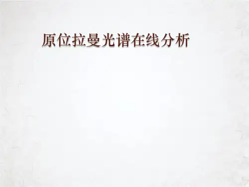 原位拉曼光谱在线分析课件PPT