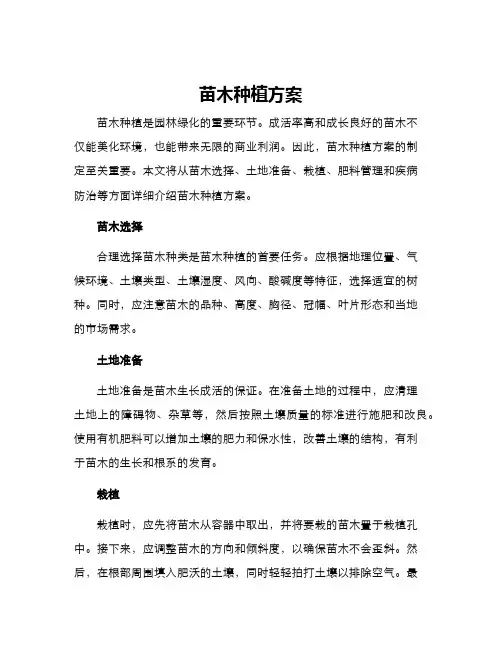 苗木种植方案