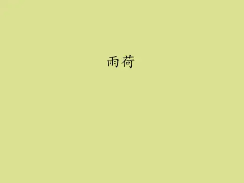 教科版小学六年级语文上册雨荷